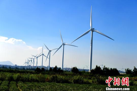 莆田沿海整齊的風(fēng)力發(fā)電設(shè)備。　王東明 攝