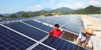 真相大白：光伏真的躺著都能賺錢？