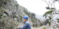 廣東受低溫天氣影響用戶(hù)全部復(fù)電
