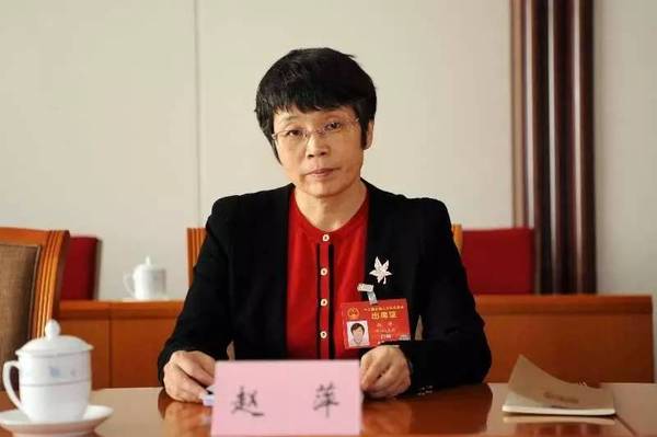 東方風(fēng)電趙萍：海上風(fēng)機大型化是趨勢，中國已落后一步