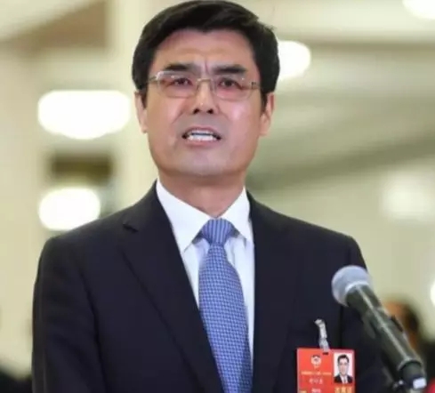 舒印彪講的故事：巴西這條特高壓造福2200萬(wàn)人！