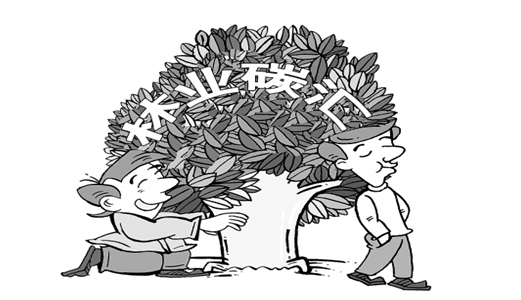 林業(yè)碳匯CCER項目如何參與碳交易獲得補(bǔ)貼來賺錢