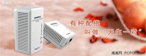 電力貓的版本眾多，從電力線傳輸技術(shù)上就可以分為HomePlug和G.hn，采用相同電力線通信技術(shù)的電力貓還可以分為有線電力貓和無線電力貓，而在無線電力貓中還有無線AP和無線路由的區(qū)別。外觀功能上的區(qū)別就更大了，以ZINWELL為例，就先后推出了單口有線電力貓，帶電源延長線的電力貓，多口有線電力貓，電力貓無線路由器，無線AP電力貓，帶電源插座的電力貓等。