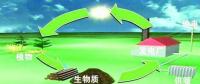 生物質(zhì)是替代核電、火電 彌補(bǔ)天然氣缺口的一種重要新能源