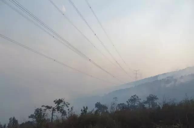 聽說最近輸電線路和鐵塔“火”啦！