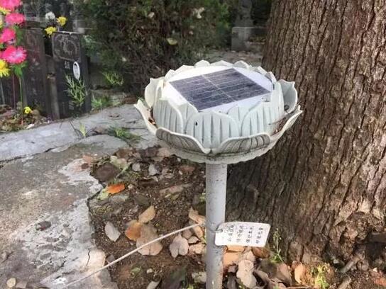 墓地傳來哭聲 周圍卻沒有人影 清明節(jié)你被光伏嚇著了嗎？