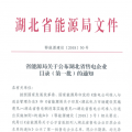 湖北省首批68家售電公司通過公示！4月20日前辦理注冊手續(xù)