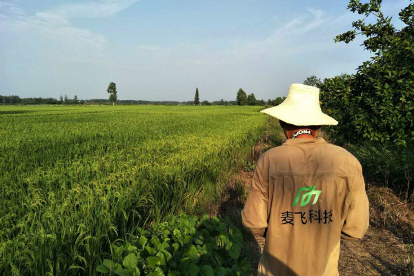 “AI+遙感”覬覦萬億級智慧農(nóng)業(yè)市場，這次沒有中間商賺差價 