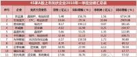 一季度45家光伏企業(yè)業(yè)績(jī)榜單登場(chǎng)：超八成飄紅，兩級(jí)分化現(xiàn)象嚴(yán)重