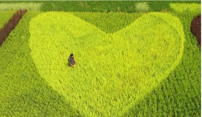 互聯(lián)網(wǎng)給農(nóng)民農(nóng)業(yè)帶來了什么？本文告訴你！