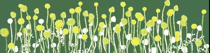 儲(chǔ)能——化解未來能源危機(jī)之匙