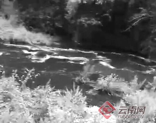 云南麗江部分水體變黑臭并有牲畜尸體，環(huán)保局：水閘放水引起