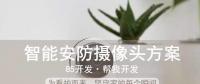 智能安防攝像頭方案，為看護(hù)而來，堅(jiān)守家的每個(gè)瞬間！