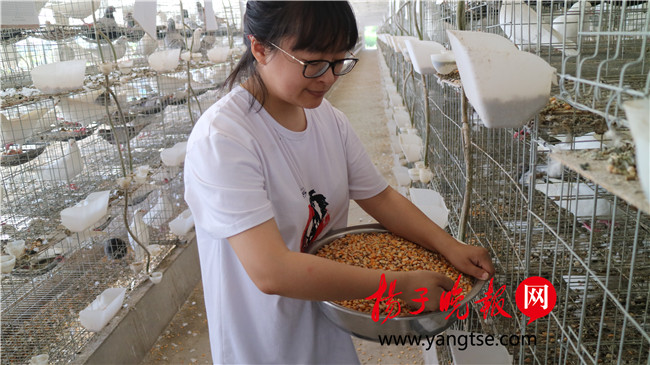 一個“80”后研究生的“綠色農(nóng)業(yè)夢”：用“互聯(lián)網(wǎng)+”思維做農(nóng)業(yè)，新型職業(yè)農(nóng)民“潮”起來