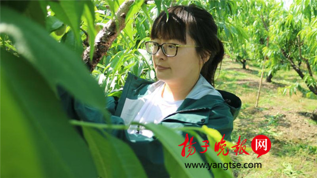 一個“80”后研究生的“綠色農(nóng)業(yè)夢”：用“互聯(lián)網(wǎng)+”思維做農(nóng)業(yè)，新型職業(yè)農(nóng)民“潮”起來