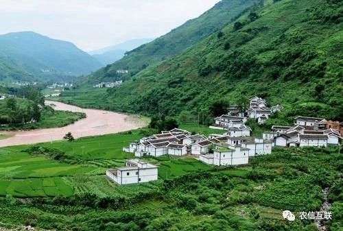 移動互聯(lián)網(wǎng)走進農(nóng)村，推動農(nóng)業(yè)產(chǎn)業(yè)的智慧化轉(zhuǎn)型升級 