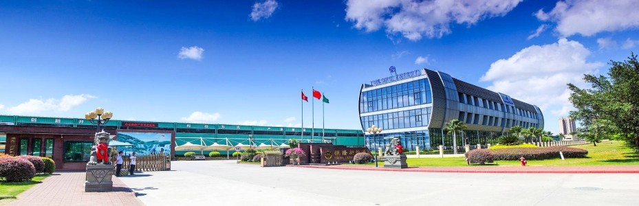 技術(shù)線路問題？董小姐的造車夢(mèng)要黃了？