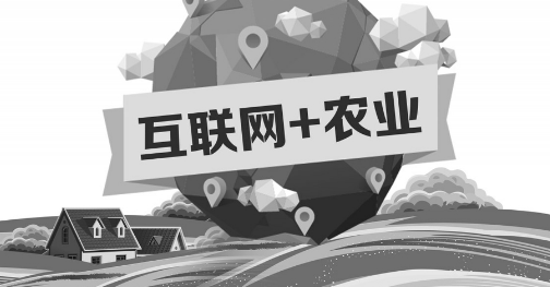 A5創(chuàng)業(yè)項目推薦：互聯(lián)網(wǎng)+農(nóng)業(yè)能碰撞出怎樣的新發(fā)展？