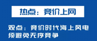 海上風(fēng)電如何應(yīng)對(duì)競(jìng)價(jià)上網(wǎng)、大功率研發(fā)、事故風(fēng)險(xiǎn)？