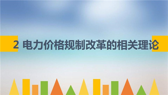 我國電力價(jià)格規(guī)制現(xiàn)狀、存在的問題及原因分析
