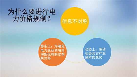 我國電力價(jià)格規(guī)制現(xiàn)狀、存在的問題及原因分析