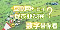 “互聯(lián)網(wǎng)+”如何促農(nóng)業(yè)發(fā)展？<font color=