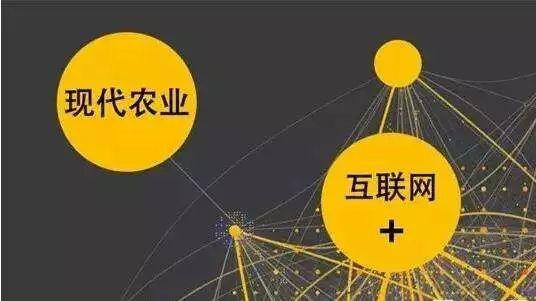 顛覆！裂變！賦能！互聯(lián)網(wǎng)+農(nóng)業(yè)領(lǐng)域的“豬飛起來了”