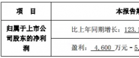 隆基、晶科齊發(fā)聲 “531”利大于弊？