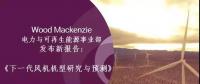 12-15MW+！歐洲“零補(bǔ)貼”海上風(fēng)場項(xiàng)目開發(fā)主要選型