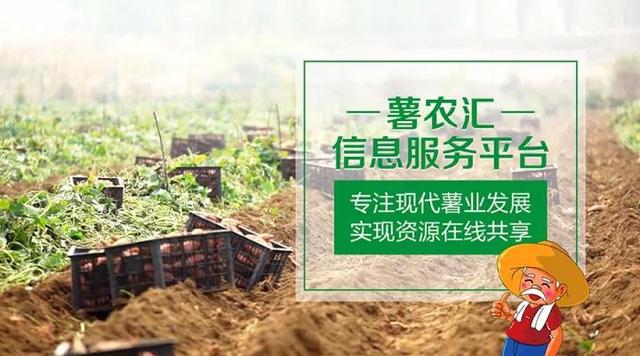 “互聯(lián)網(wǎng)+農(nóng)業(yè)”，創(chuàng)造農(nóng)村發(fā)展新活力
