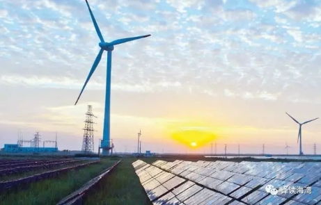 低價中標？400MW風電項目收到4份正式報價