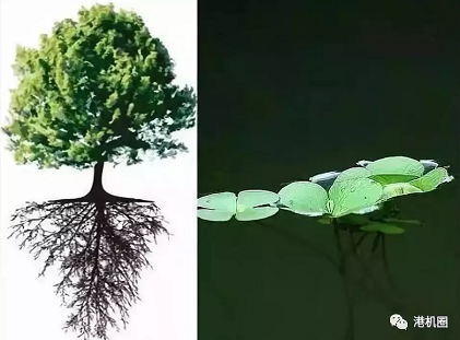 插樁式、坐底式 詳解海上風(fēng)電安裝平臺的作業(yè)方式