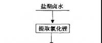 碳酸鋰“價格失火” 是否會 “殃及”金屬鋰？