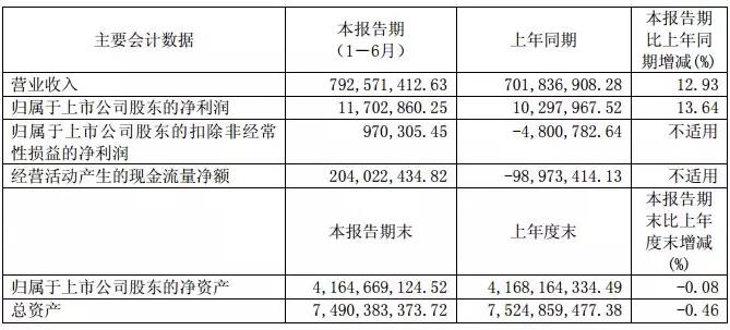 華儀電氣：上半年風(fēng)電營收3.57億元 完成6MW海上風(fēng)機概念設(shè)計、簽訂32萬千瓦風(fēng)電場開發(fā)協(xié)議！