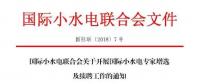 國(guó)際小水電專家增選，最后一周！
