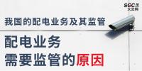 配電業(yè)務(wù)需要監(jiān)管的原因、我國的配電業(yè)務(wù)及其監(jiān)管