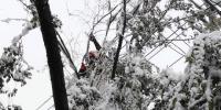 新疆烏魯木齊暴雪致17條配網(wǎng)線(xiàn)路停電