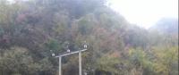 湖北整治關(guān)停100多座小水電站 , 其中宜昌48座、神農(nóng)架林區(qū)21座、恩施20座
