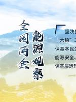 讀圖｜2020政府工作報告中這些內(nèi)容，和能源電力有關(guān)！