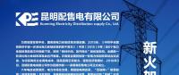 昆明配售電有限公司第6屆中國-南亞博覽會(huì)展